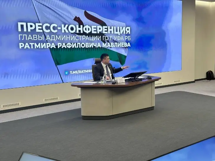 Почему вырубают деревья? Ратмир Мавлиев ответил на актуальный вопрос