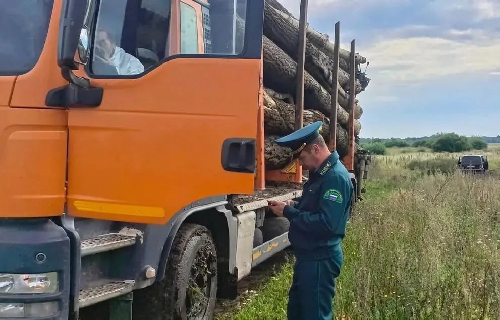 Деревья на 21 млн рублей вырубили в Дуванском районе