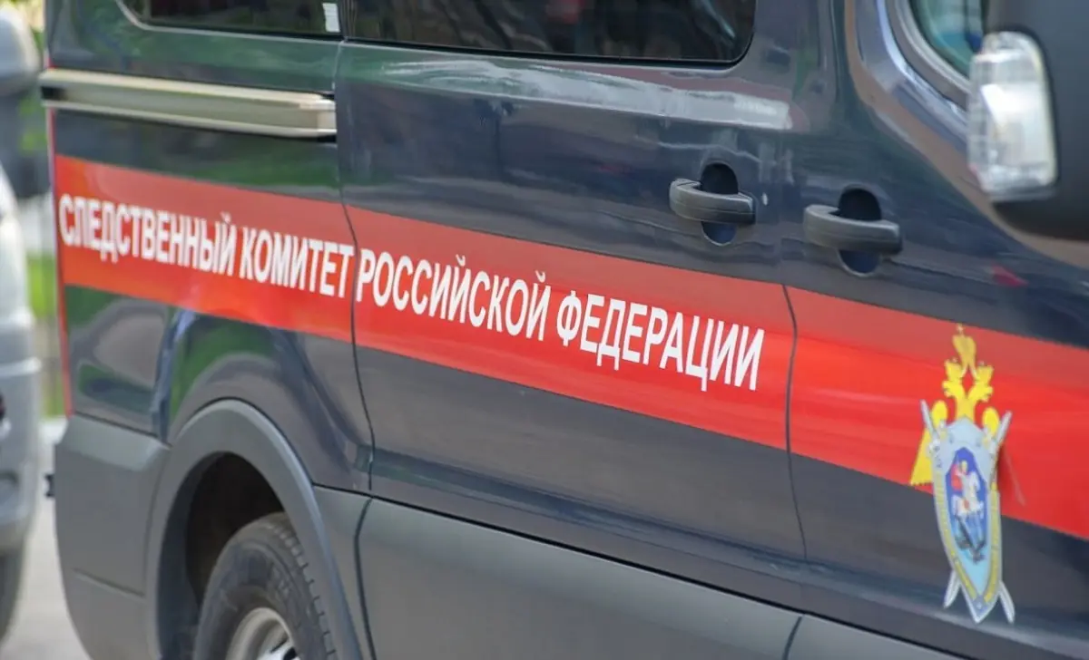 Ушли за грибами и не вернулись: медведь загрыз двух пенсионерок в Красноярском крае