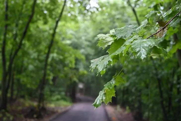 Стало известно, как будет называться новый маршрут Уфимского ожерелья 