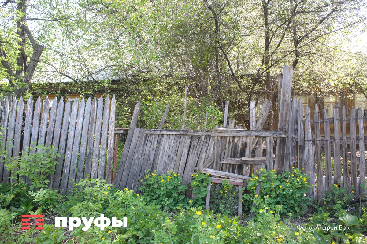 Зола летом настоящий подарок: есть важные нюансы для суперудобрения — тогда будут тонны урожая