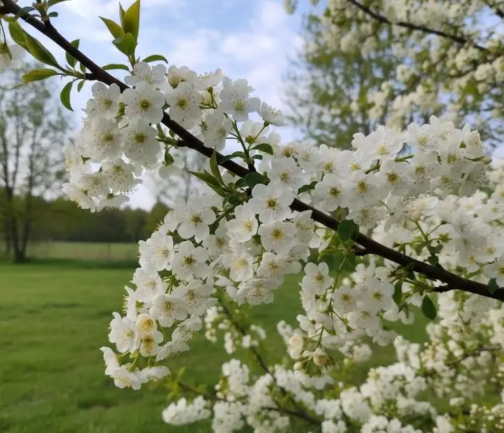 Первая неделя марта в России: от суровых морозов до весеннего тепла