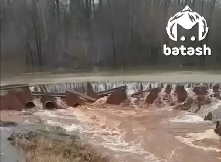 Мохнатые строители устроили потом в Башкирии: что натворили бобры