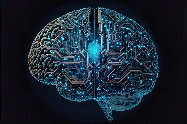 Эти четыре привычки выдают высокий IQ: психологи так определяют гениев