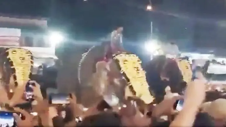 Слон напал на толпу людей