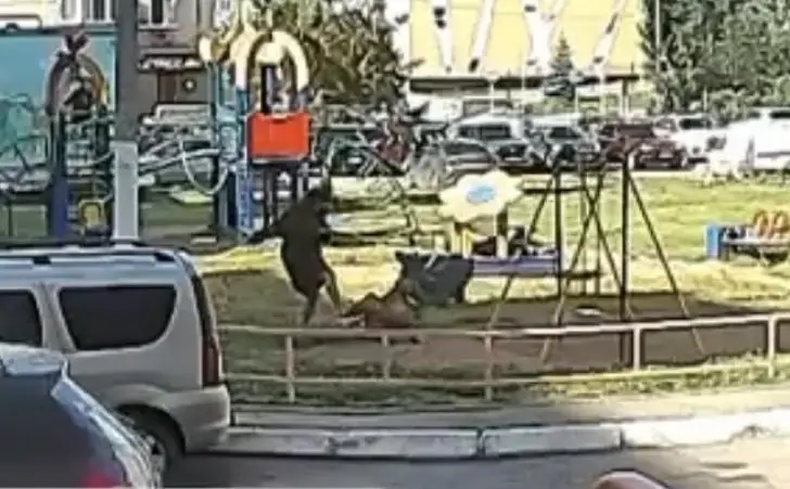 Полиция Башкирии нашла женщину, избившую ногами своего сына
