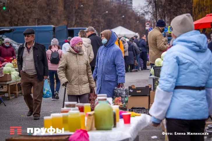 Башкирский мед и сыворотка обернулись миллионным долгом для узбекского импортера