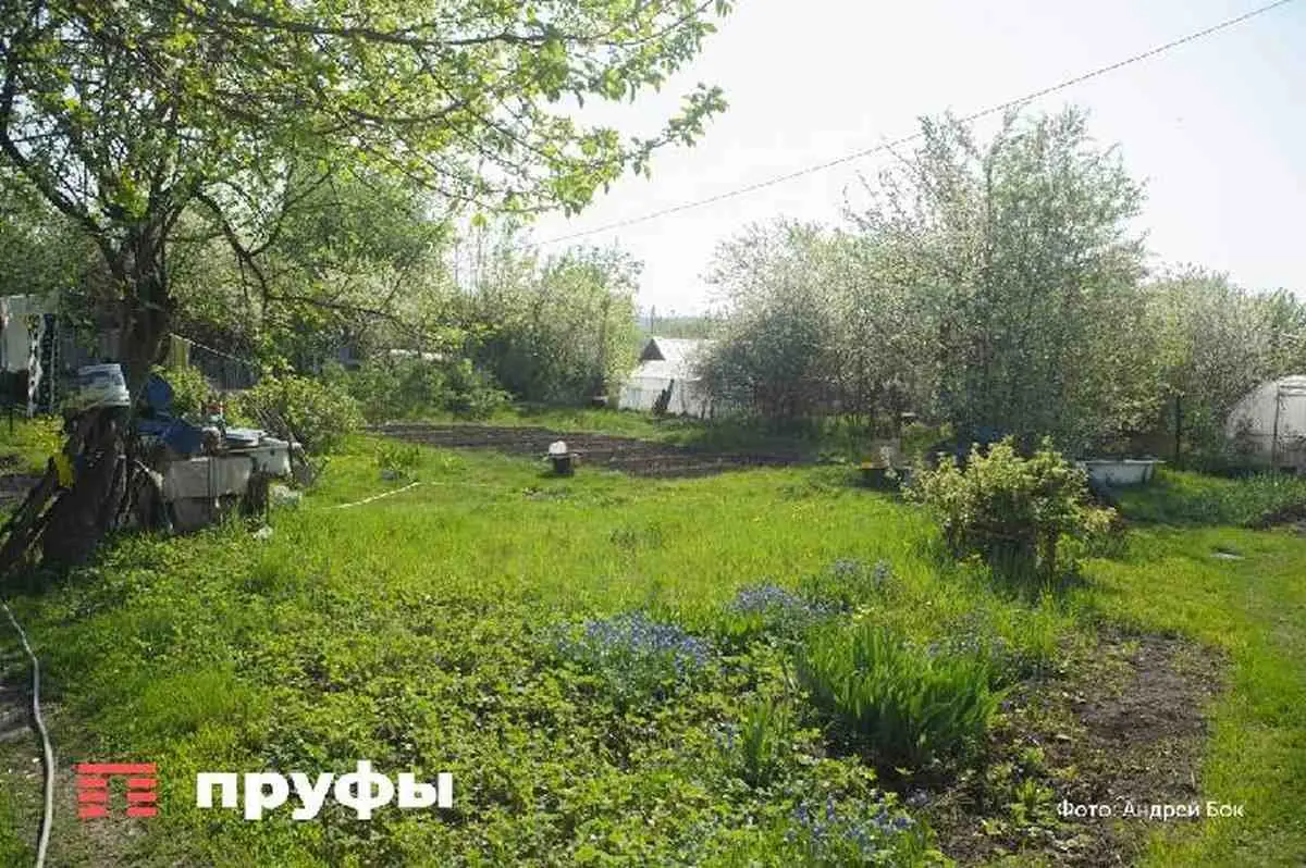 Жителей Башкирии предупредили о новой волне опасности на природе