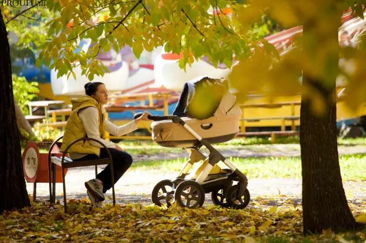 До 10 тысяч рублей из остатка маткапитала разрешили тратить на любые цели