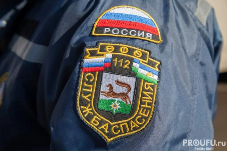 Дикий зверь загнал жительницу Башкирии на дерево