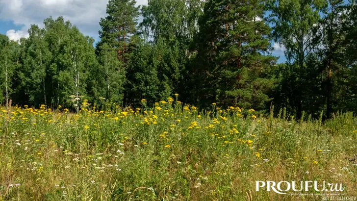 «Ждите теплую весну»: народные приметы на 6 апреля 2024 года