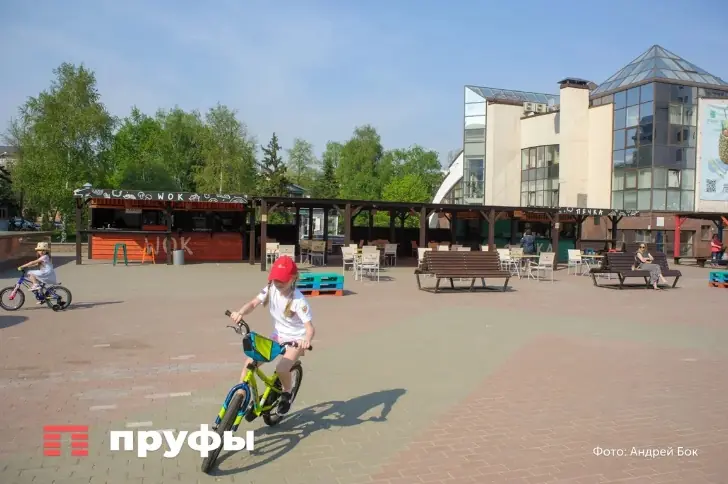 Летние лагеря в Крыму не принимают новых заявок – что известно