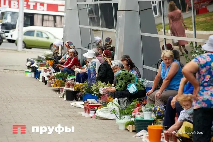Инфляция снижается, а в кошельке – мышь повесилась: поход в магазин явно противоречит статистике – причина найдена 
