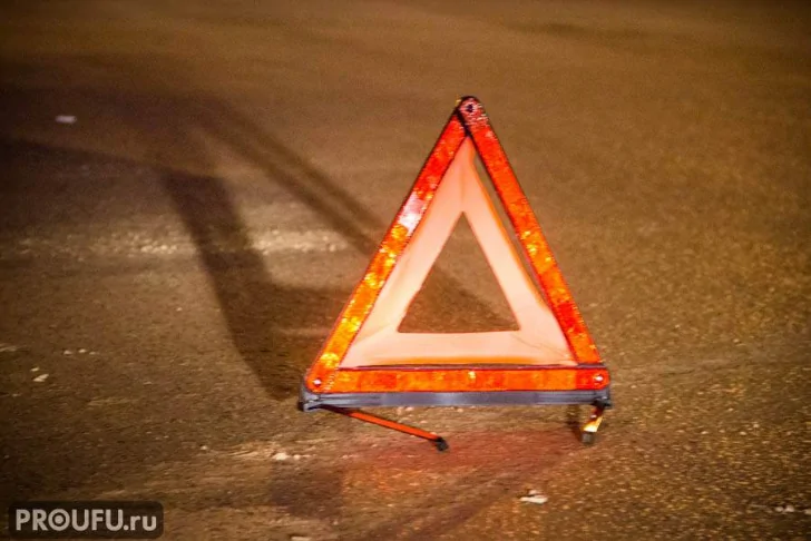 Житель Башкирии прокатил полицейского на двери машины и получил реальный срок