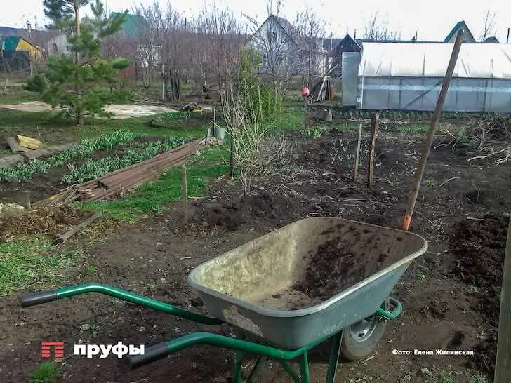 Дачи начали массово изымать: россияне теряют участки через суд