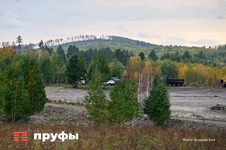 В Башкирии решили отстреливать бобров из-за угрозы железнодорожным путям