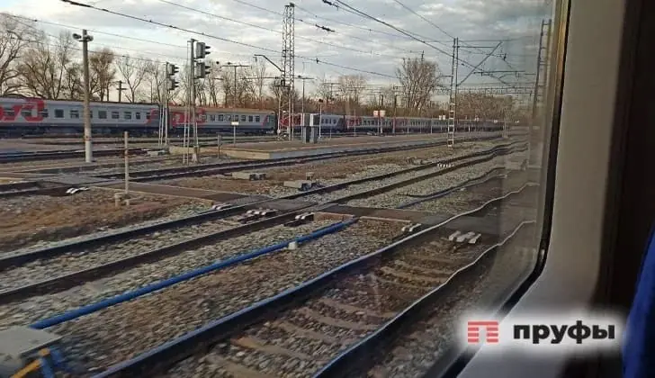 70 детей из Башкирии срочно вывозят домой из «Артека»