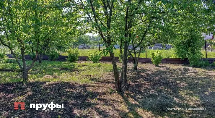 Дачников начнут жестко штрафовать за свои владения − пора бросать имущество