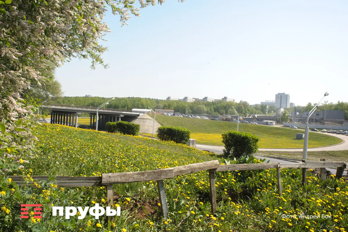 25 гектаров земли возле Восточного выезда в Уфе отдают известному застройщику 