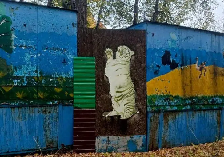«Страшный тигриный вой» – в лесу Уфы затерялись останки «бездомного» зоопарка «Саванна» 