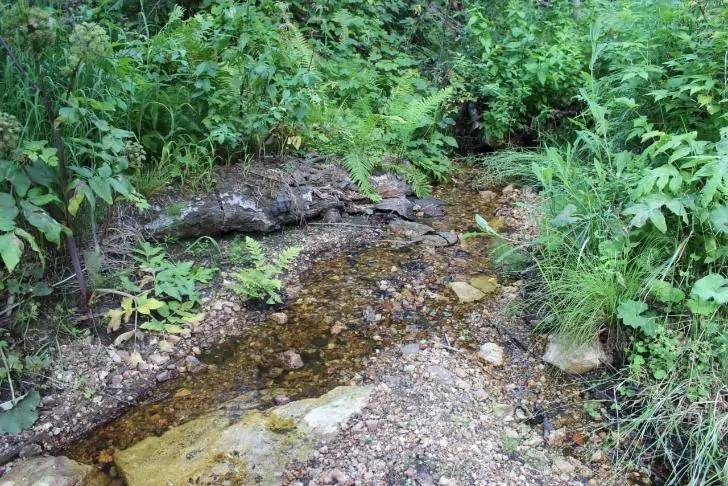 Туристка обнаружила исток реки Уфа возле самого загрязненного города в мире - Карабаша