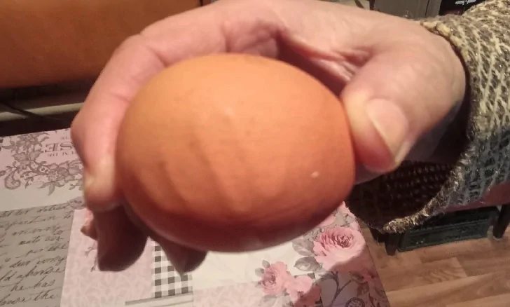 Яйцо с надписью «Аллах» появилось в башкирском курятнике