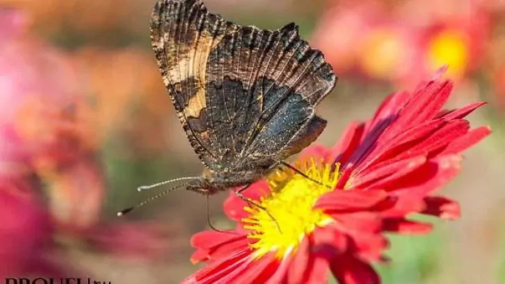 В ближайшие дни в Башкирии пройдут грозы
