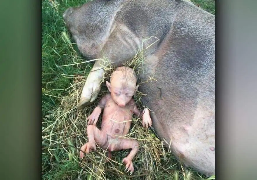 Суждение судьбы