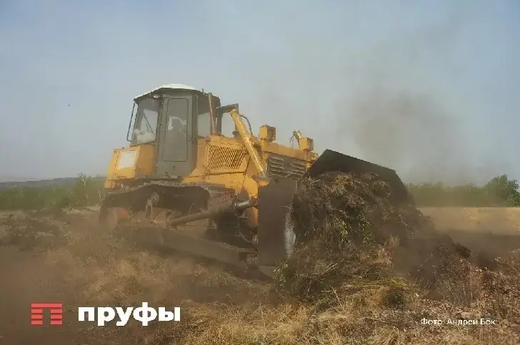Власти Башкирии ожидают рекорды от аграриев на фоне убогих зарплат