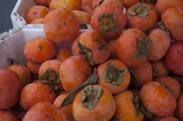 Не проходите мимо прилавка: шесть причин есть хурму