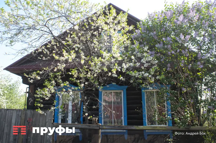 Дом к солнцу: почему люди тысячелетиями строили жилье на юг — что изменилось