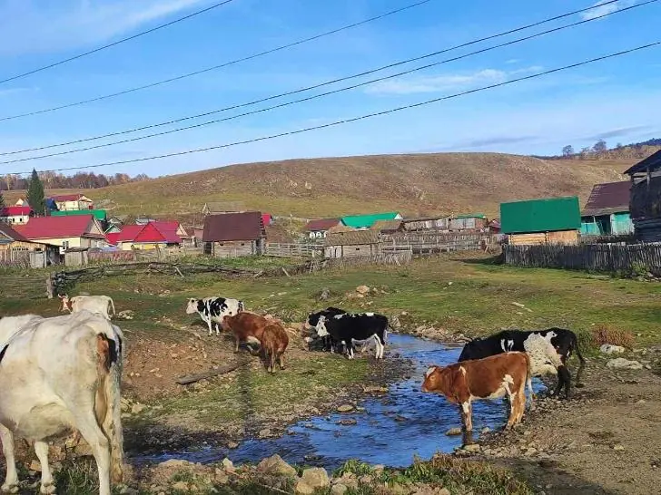 Отрезанные от цивилизации – как живет деревня в Башкирии, где нет газа, связи, и живут счастливые люди