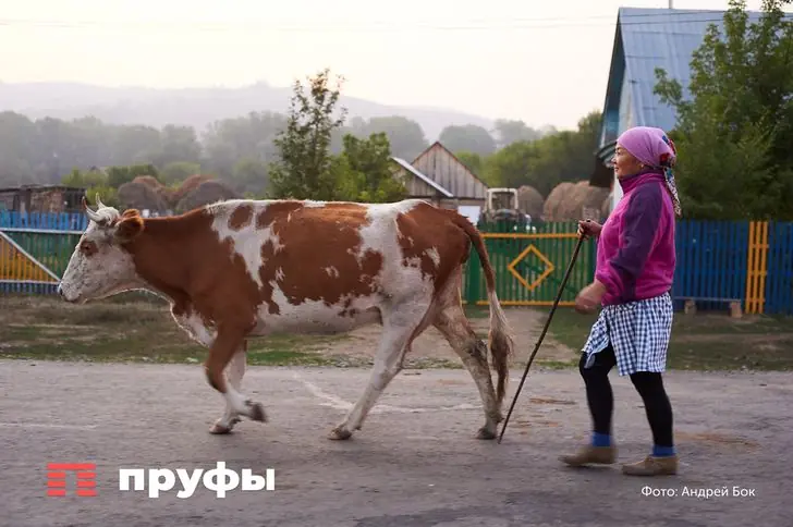 Стало известно, насколько сократилось сельское население Башкирии 