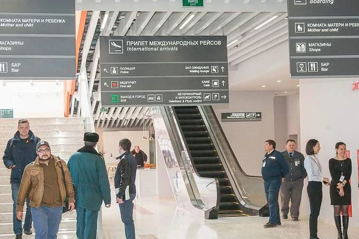 В аэропорту «Уфа» у пассажиров изъяли фрукты и саженцы плодовых деревьев