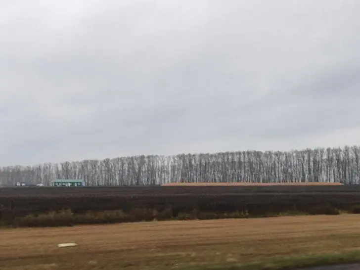 «Развалили колхозы и совхозы!»: почему башкирские фермеры не хотят выращивать зерно