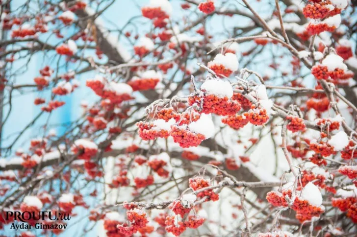 В эти выходные в Башкирии похолодает до -30°