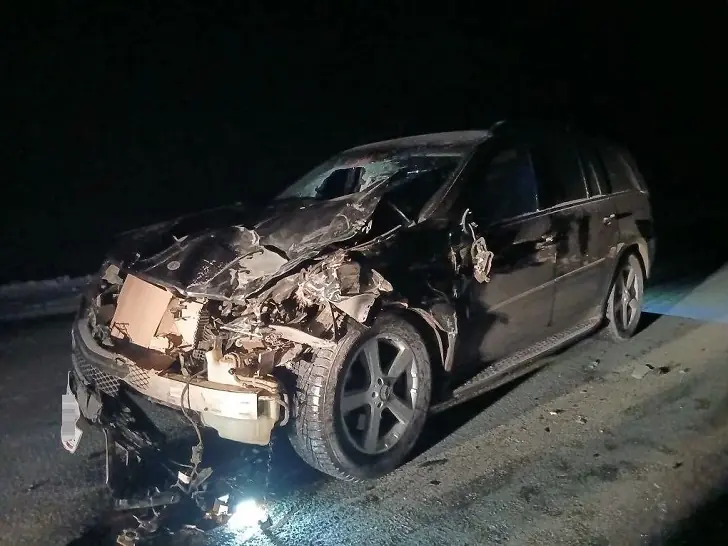 Табун лошадей налетел на элитную иномарку в Башкирии: кто не выжил