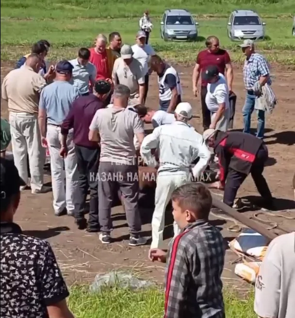 В Татарстане на сабантуе во время скачек умерла лошадь