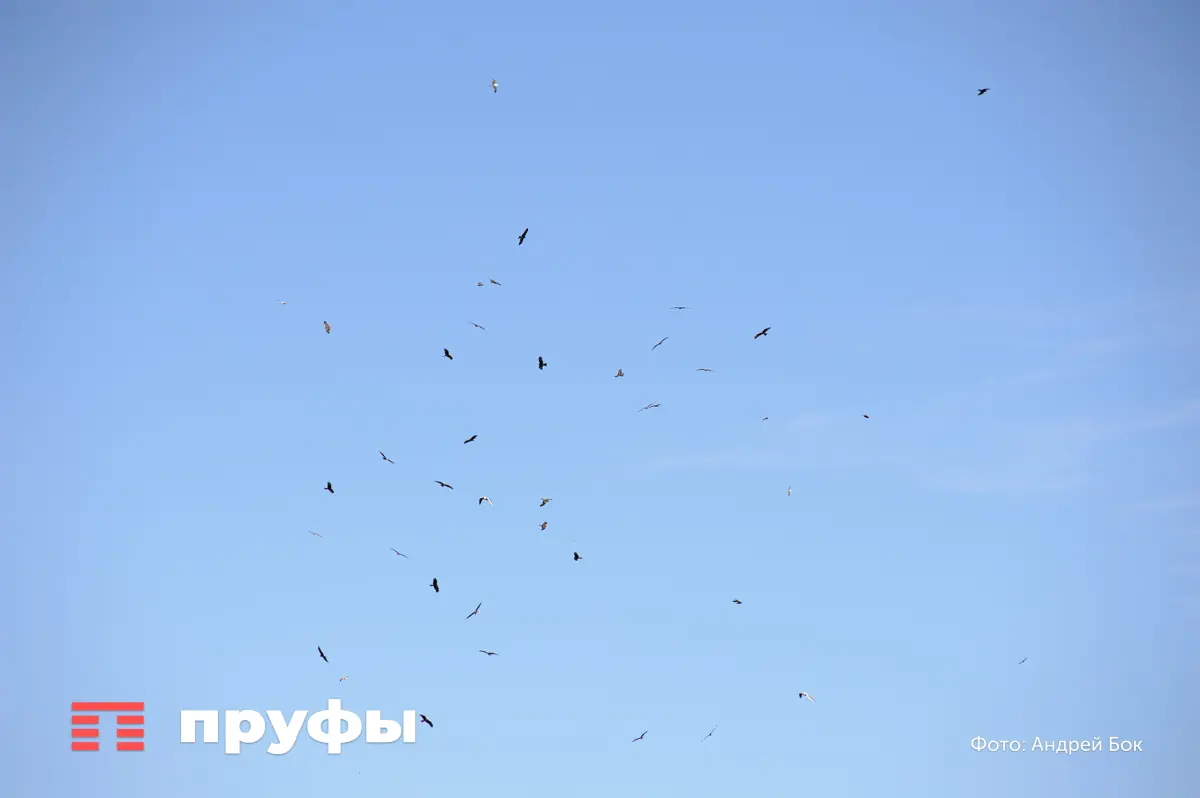 В соседнем Татарстане из-за атаки БПЛА произошел пожар на гражданском объекте