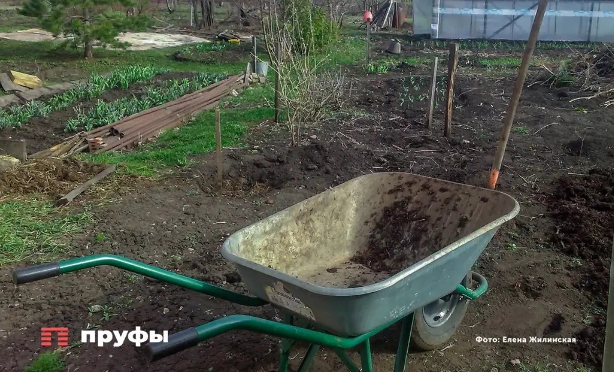 Не срывайте сразу: 8 овощей, которые становятся вкуснее, если не торопиться с уборкой