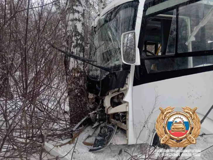 Автобус с пассажирами влетел в дерево в Башкирии: среди пострадавших – ребенок
