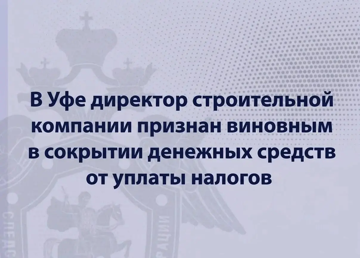 «Воротила бизнеса» из Уфы попался на 18-миллионной налоговой уловке