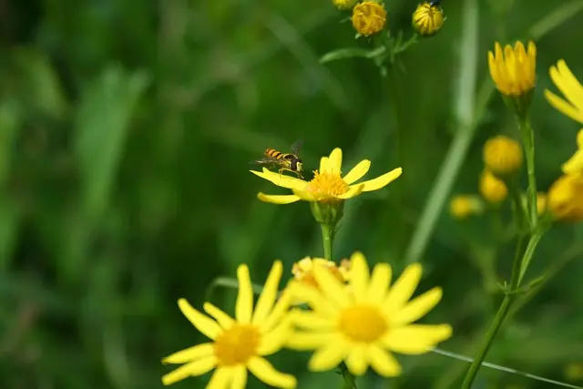 «Июнь станет синонимом кошмара»: синоптик предупредил о температурных катаклизмах