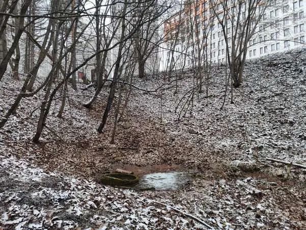 Роднику угрожает загрязнение? Уфимцы рассказали о странных действиях рабочих