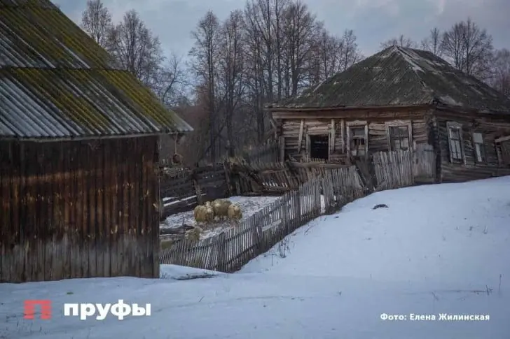 В глуши Татарстана оживляют «деревню-призрак»: люди бросили её 40 лет назад, а теперь туда вкладывают миллионы