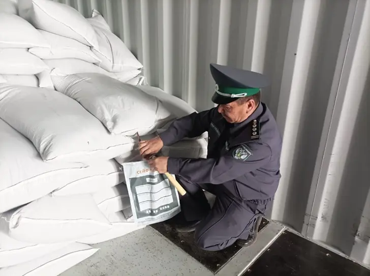 Почти 1200 тонн башкирского гороха уехали в Китай