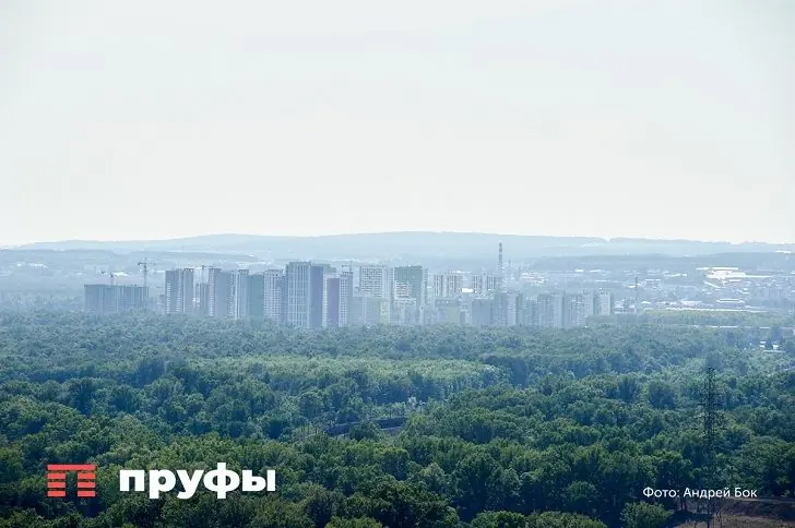 Администрация Уфы закупает липы по 65 тысяч рублей за штуку