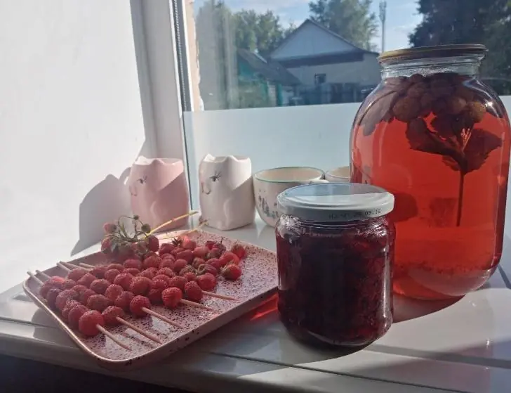 Почему вы болеете каждую осень: нутрициолог отвечает, как избежать сезонных инфекций в 2025 году