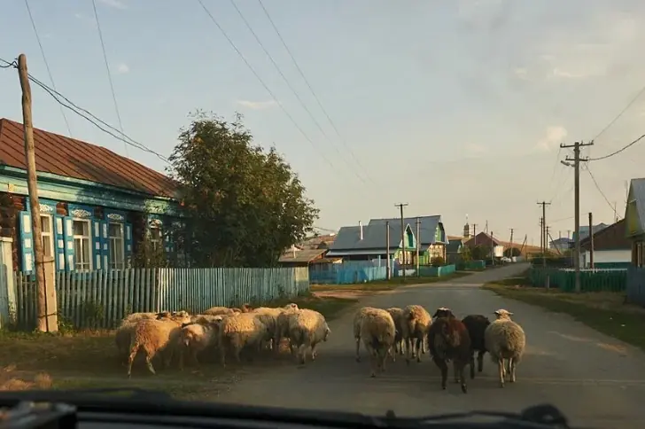 Через два года выставляют дом на продажу: почему горожане не выдерживают жизни в деревне