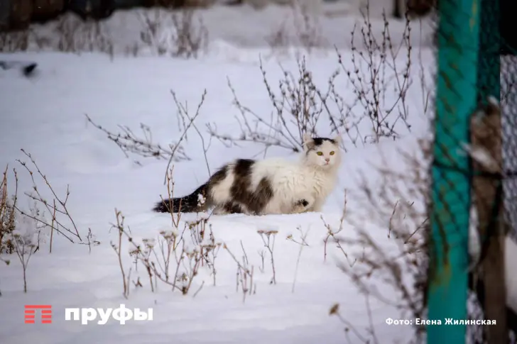 Лютые морозы накроют Башкирию